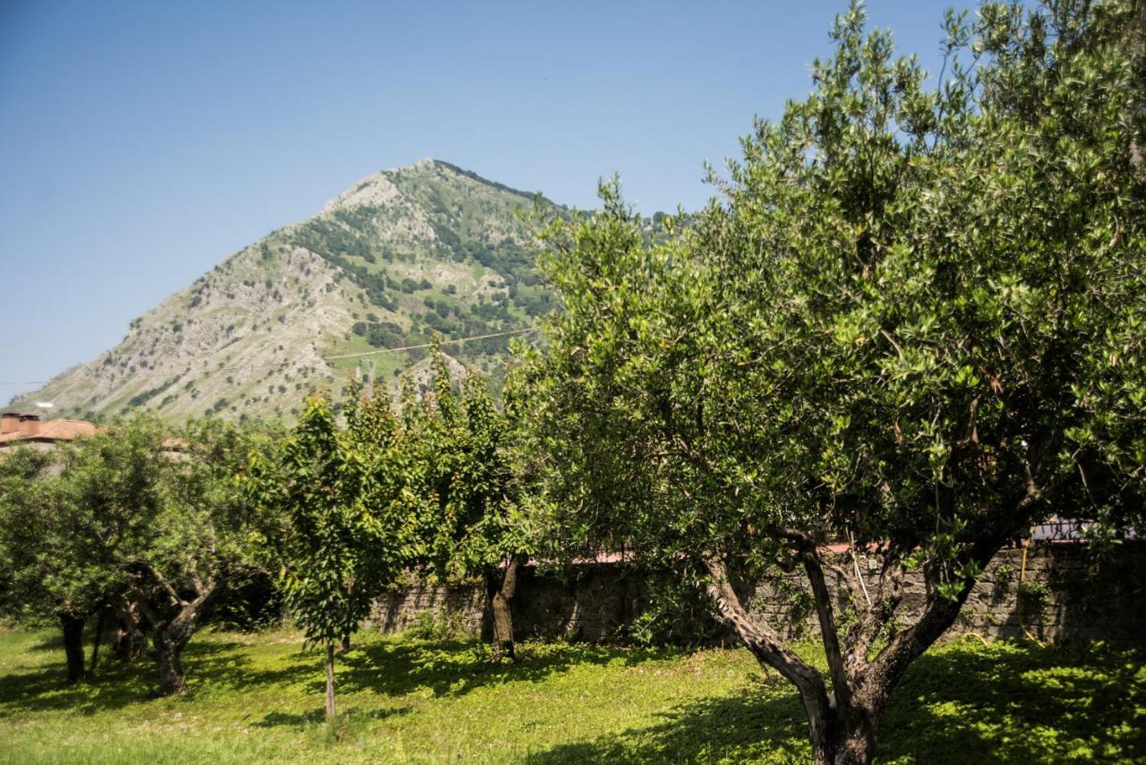 Casa Vacanza Dal Cavaliere Montesarchio Ngoại thất bức ảnh